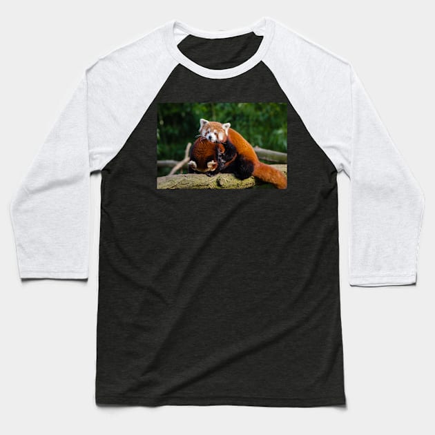 Red Panda Baseball T-Shirt by kawaii_shop